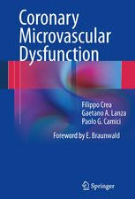 coronary microvascular dysfunction (2014)