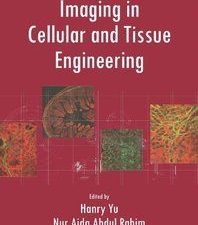 imaging in cellular and tissue engineering