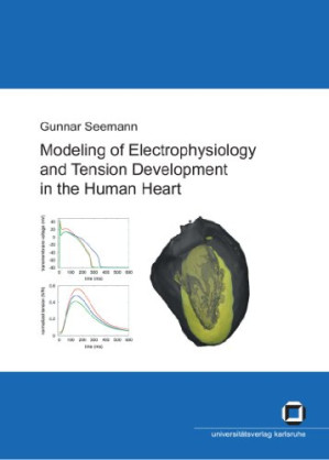 modeling of electrophysiology and tension development in the human heart