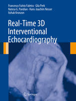 real time 3d interventional echocardiography