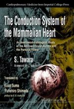 the conduction system of the mammlian heart: an anatomico histological study of the atrioventricular bundle and the purkinje…