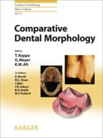 comparative dental morphology: selected papers of the 14th international symposium on dental morphology, august 27 30, 2008, greifswald, germany (frontiers of oral biology)