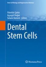 dental stem cells (stem cell biology and regenerative medicine)