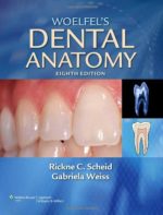 woelfel’s dental anatomy: its relevance to dentistry – 8th edition