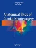 anatomical basis of cranial neurosurgery