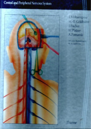 approaches in neurosurgery by i. mohsenipour
