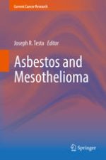 asbestos and mesothelioma