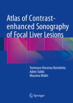 atlas of contrast enhanced sonography of focal liver lesions
