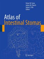 atlas of intestinal stomas