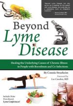 beyond lyme disease: healing the underlying causes of chronic illness in people with borreliosis and co infections