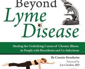 beyond lyme disease: healing the underlying causes of chronic illness in people with borreliosis and co infections