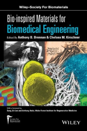 bio inspired materials for biomedical engineering