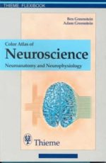 color atlas of neuroscience
