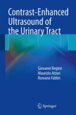 contrast enhanced ultrasound of the urinary tract
