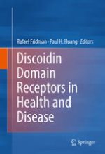 discoidin domain receptors in health and disease