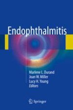 endophthalmitis