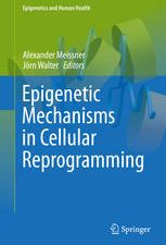 epigenetic mechanisms in cellular reprogramming