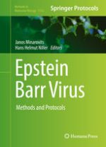 epstein barr virus: methods and protocols