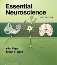 essential neuroscience (3rd revised edition)