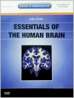 essentials of the human brain