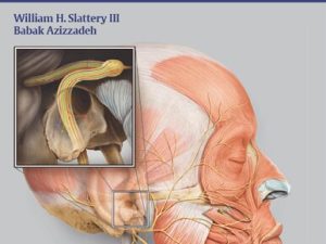facial nerve (thieme) – 2014 release