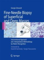 fine needle biopsy of superficial and deep masses: interventional approach and interpretation methodology by pattern recognition