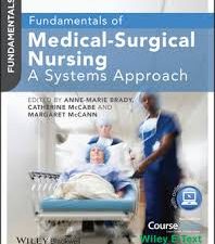 fundamentals of medical surgical nursing: a systems approach