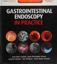 gastrointestinal endoscopy in practice: september 2011 edition
