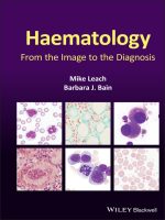 haematology: from the image to the diagnosis 1st edition