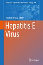 hepatitis e virus