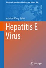 hepatitis e virus