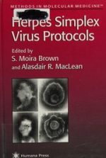 herpes simplex virus protocols (methods in molecular medicine)
