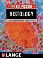 histology: the big picture
