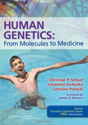 human genetics: from molecules to medicine