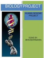 human genome project