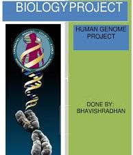 human genome project