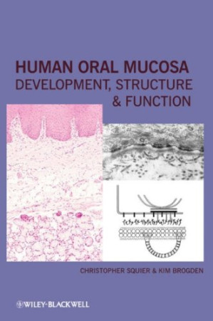 human oral mucosa: development, structure and function