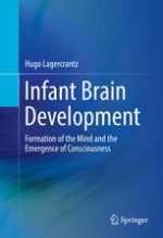 infant brain development: formation of the mind and the emergence of consciousness