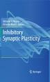 inhibitory synaptic plasticity