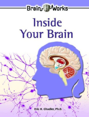 inside your brain (brain works)