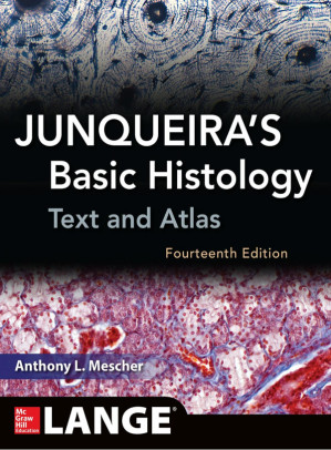 junqueira’s basic histology: text and atlas, 14th edition