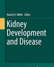 kidney development and disease