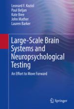large scale brain systems and neuropsychological testing: an effort to move forward