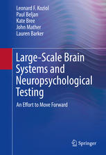 large scale brain systems and neuropsychological testing: an effort to move forward