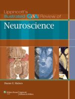 lippincott’s illustrated q&a review of neuroscience