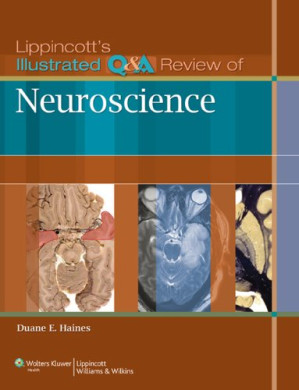 lippincott’s illustrated q&a review of neuroscience