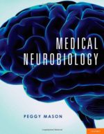 medical neurobiology