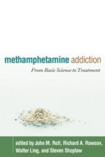 methamphetamine addiction: from basic science to treatment