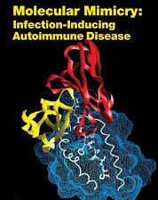 molecular mimicry: infection inducing autoimmune disease