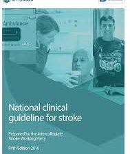 national clinical guidelines for stroke by clinical effectiveness & evaluation unit